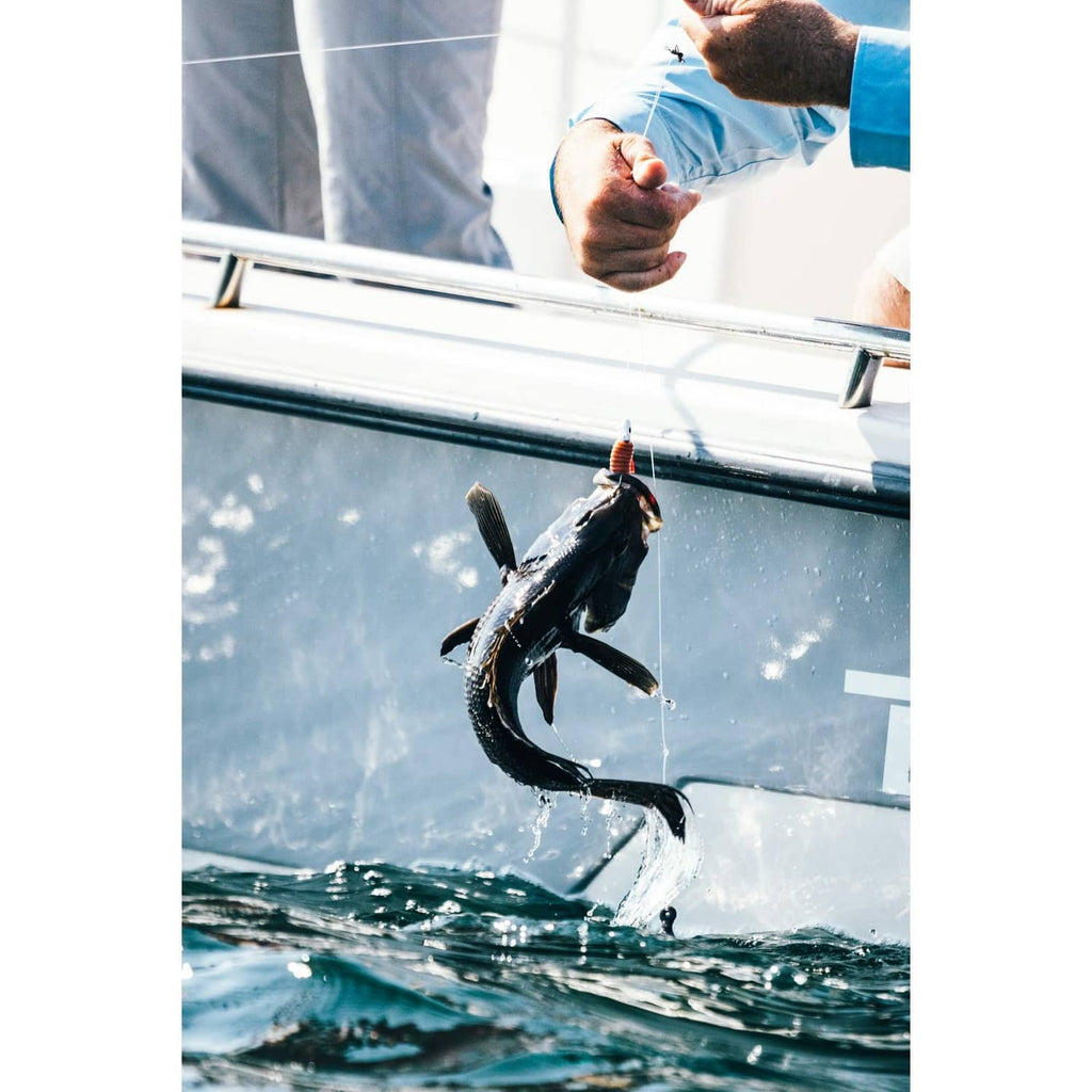 Fish jumping beside a boat with fishing line and hook visible