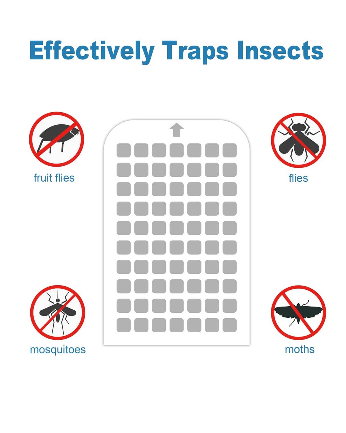 Flying insect trap refill glue cards that trap fruit flies, flies, mosquitoes, and moths