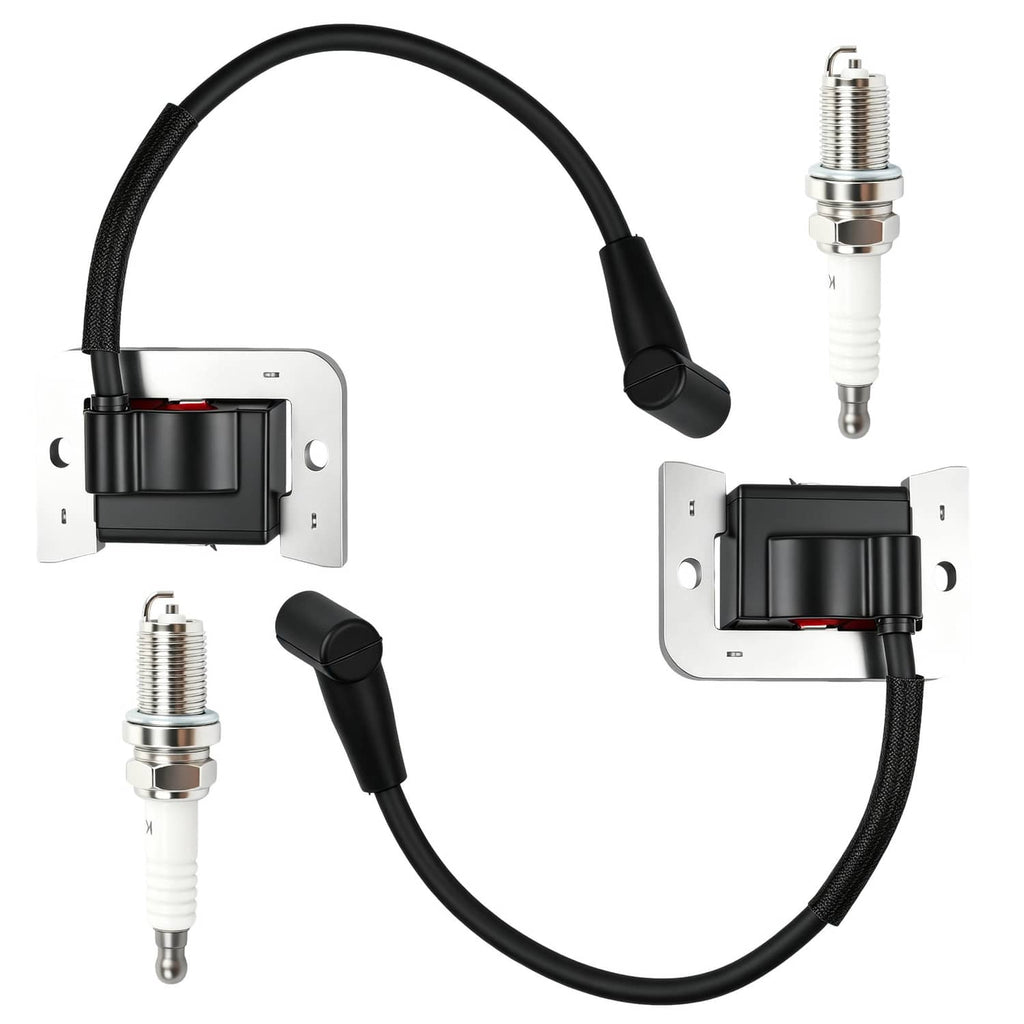 Ignition module with spark plug and black wire harness, two coil boots shown