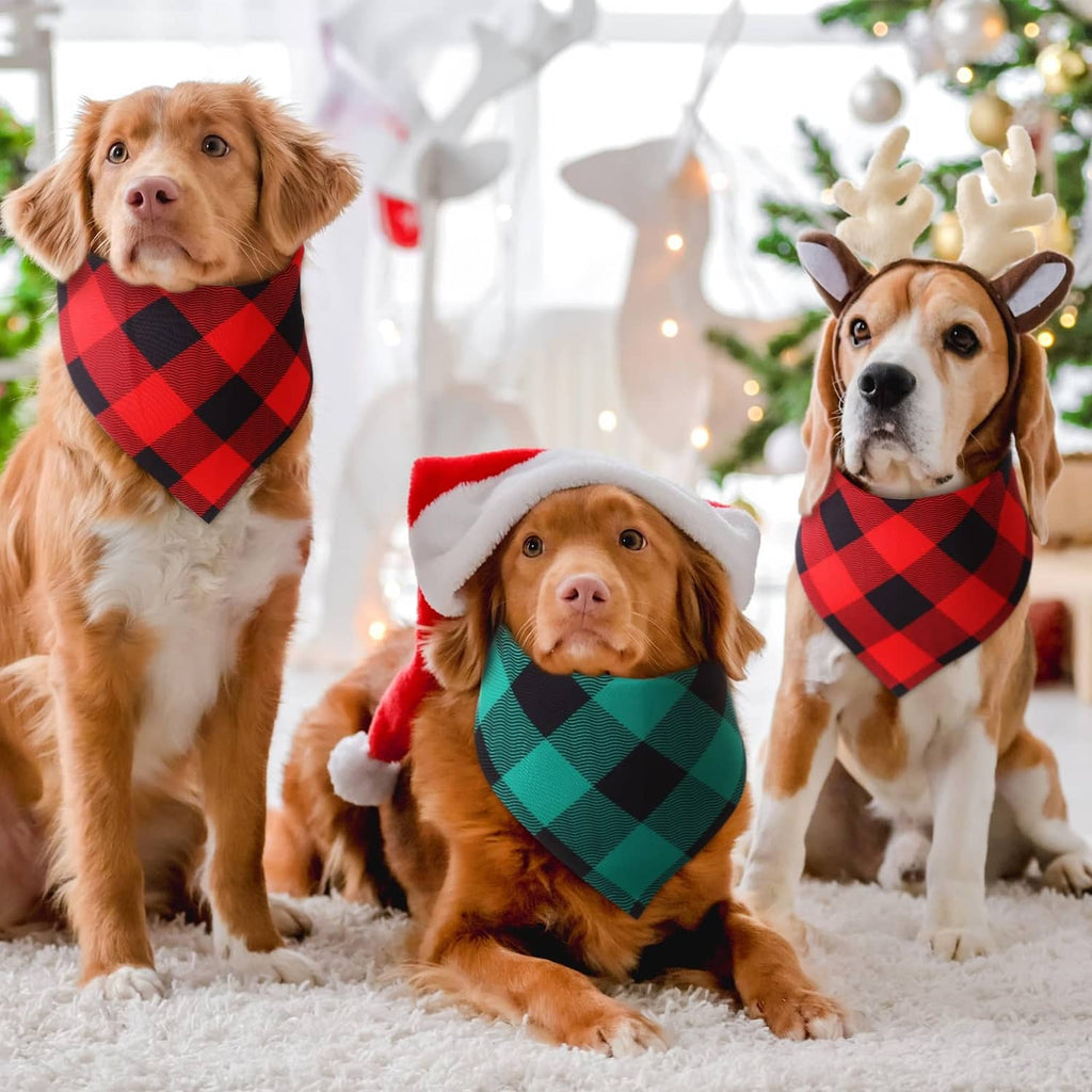 Three dogs wearing red-and-green plaid bandanas with black diamond pattern and ties