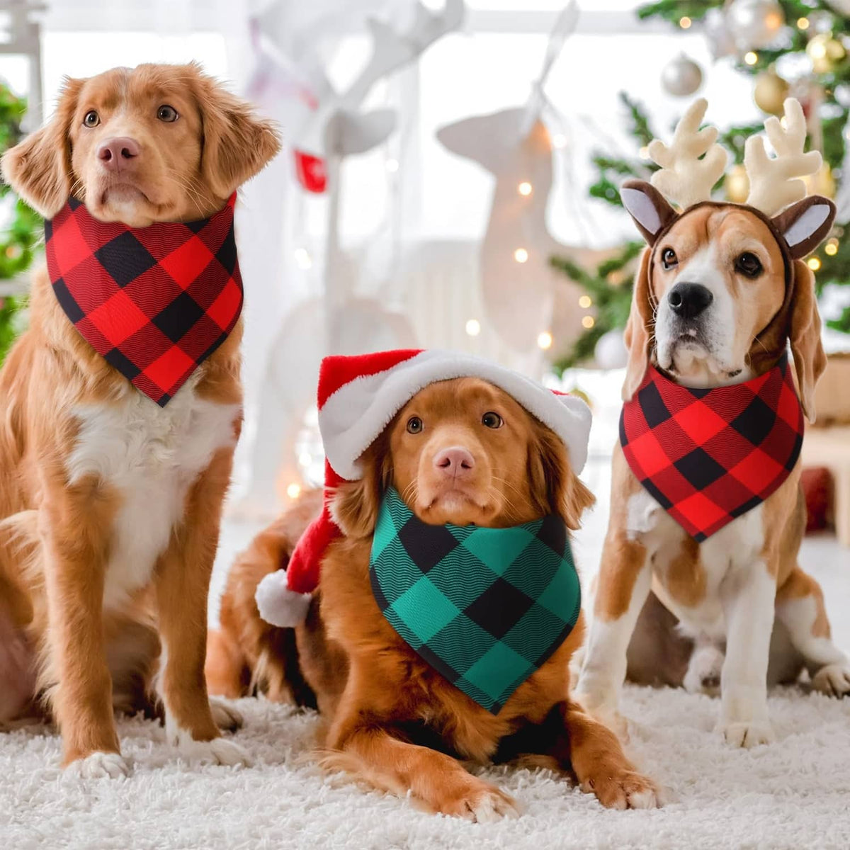 Three dogs wearing red-and-green plaid bandanas with black diamond pattern and ties