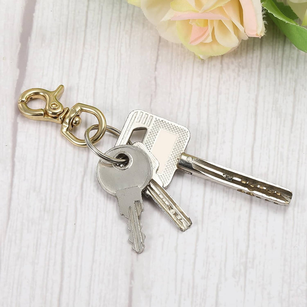 Brass lobster clasp keychain holding metal keys on ring