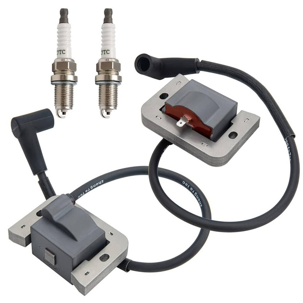 Ignition coil module with black wire and two spark plugs on gray mounts
