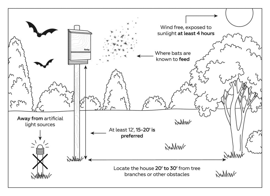 Bat house placement diagram with height and distance guidance from trees