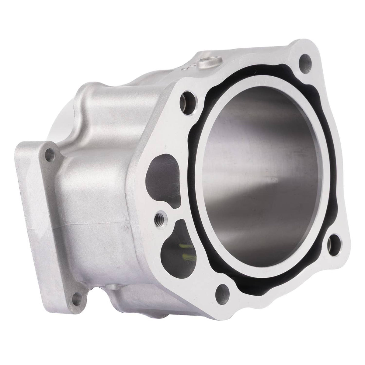 Engine cylinder housing with black gasket surface and mounting bolt holes