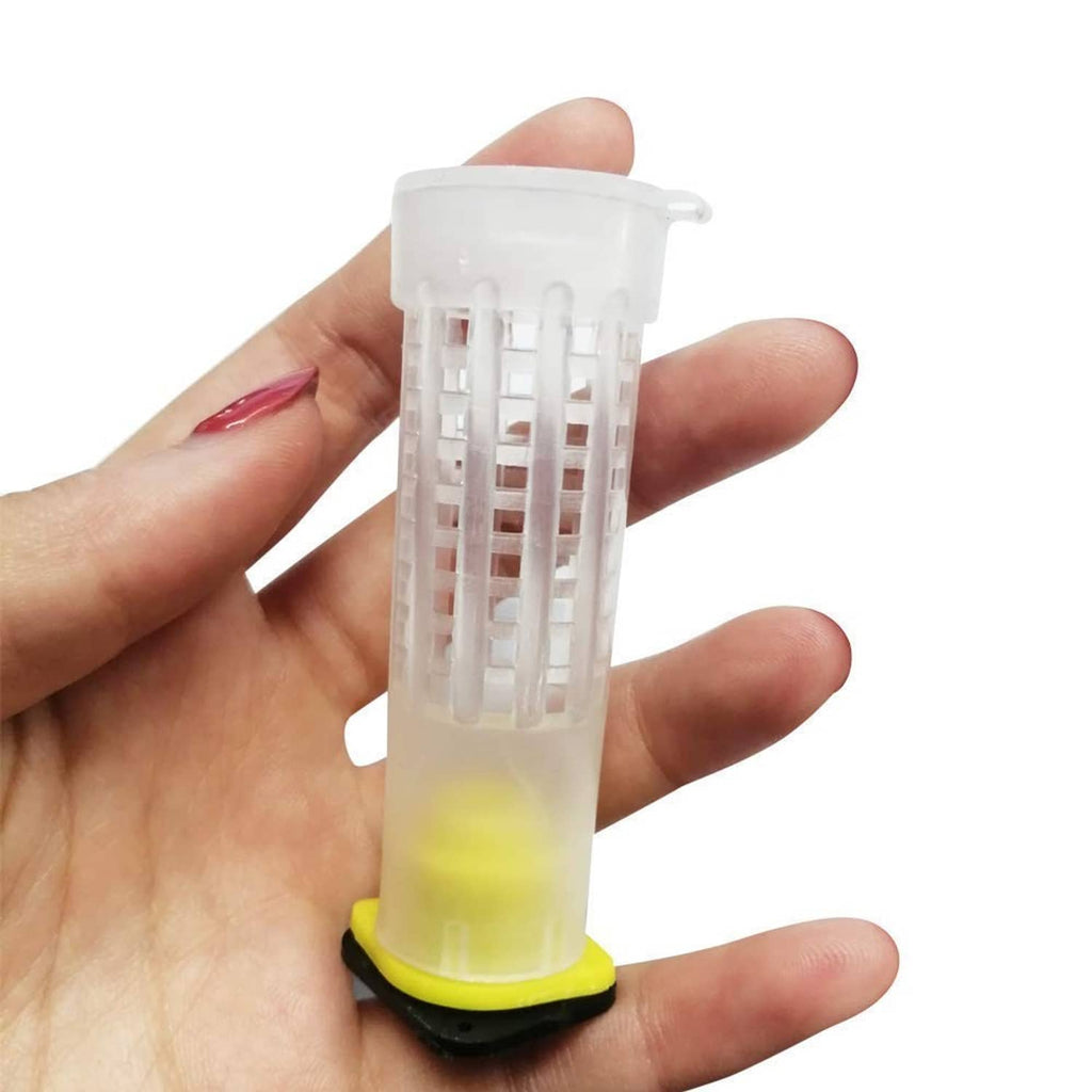 Clear queen bee rearing cup held in hand, yellow base visible