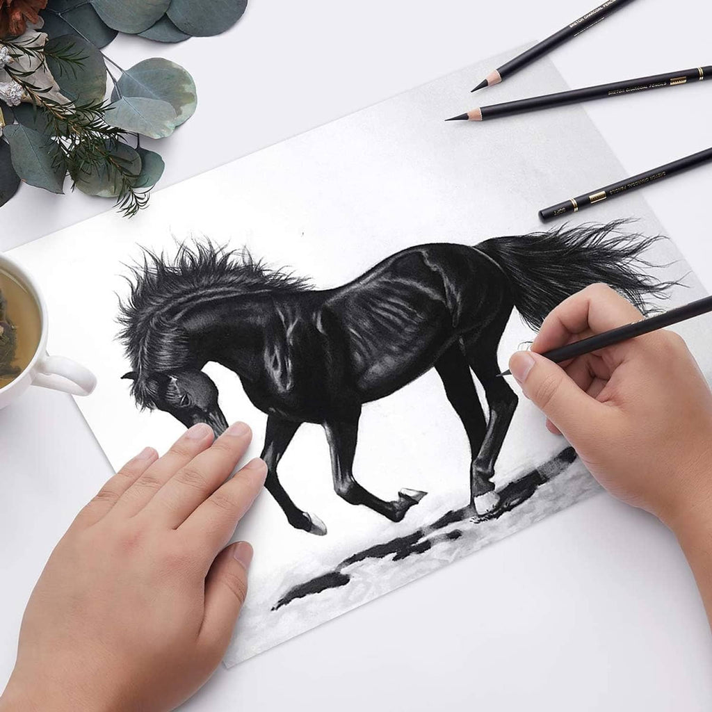 Hands using charcoal pencils to shade a black horse sketch