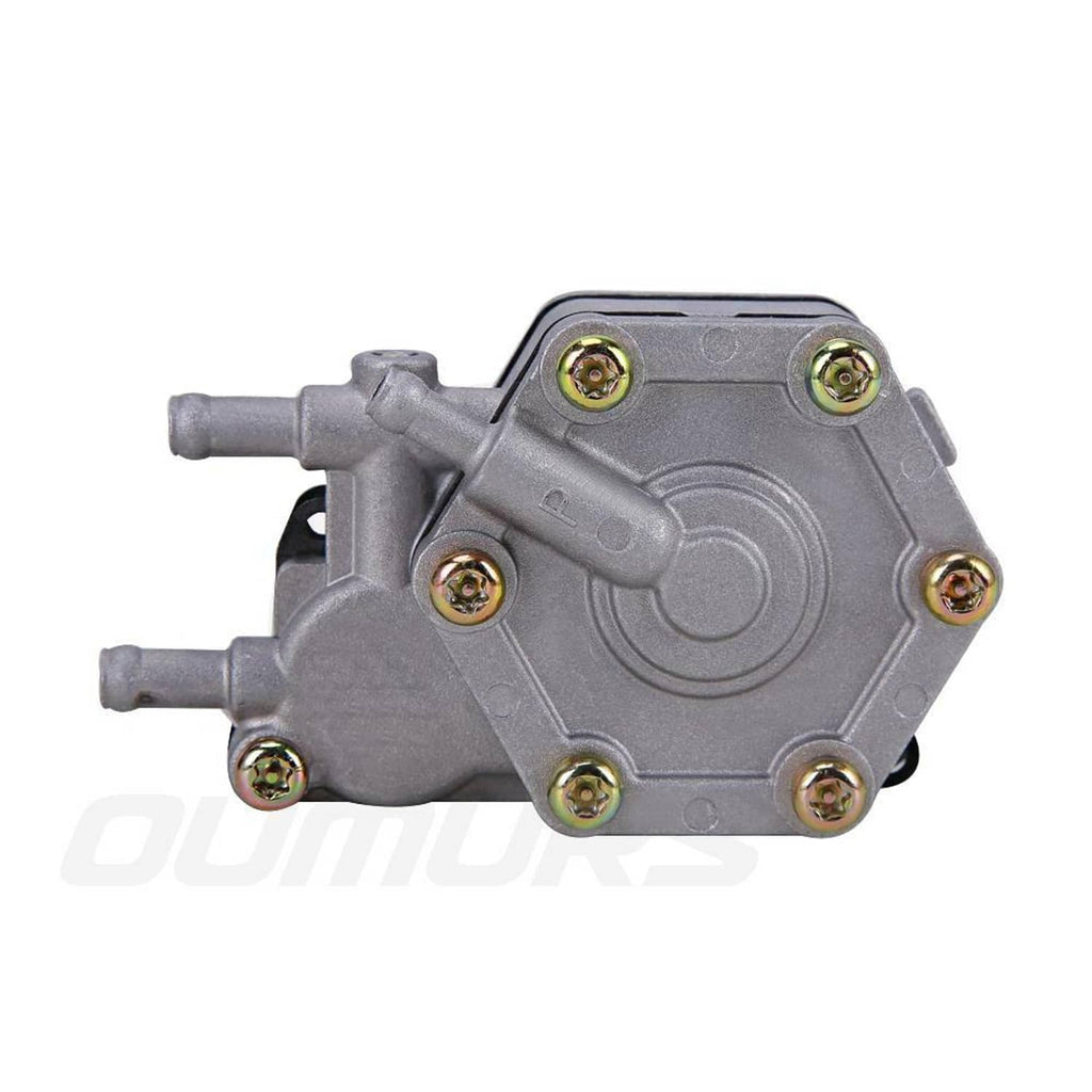 Fuel pump with gold mounting screws and two side hose nipples, gray housing
