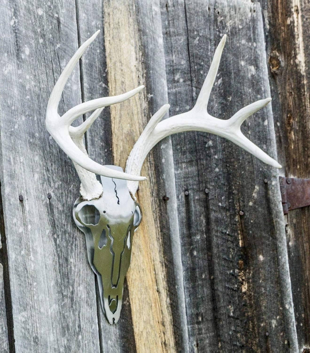 White antlers with mounted deer skull plate, small iron buck decor