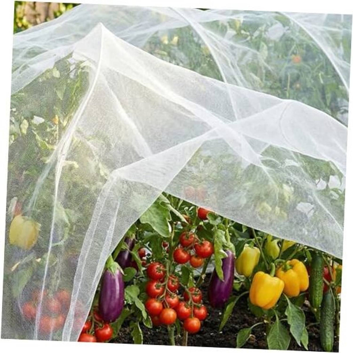 Clear ultra-fine garden netting cover forming an arch over vegetable plants