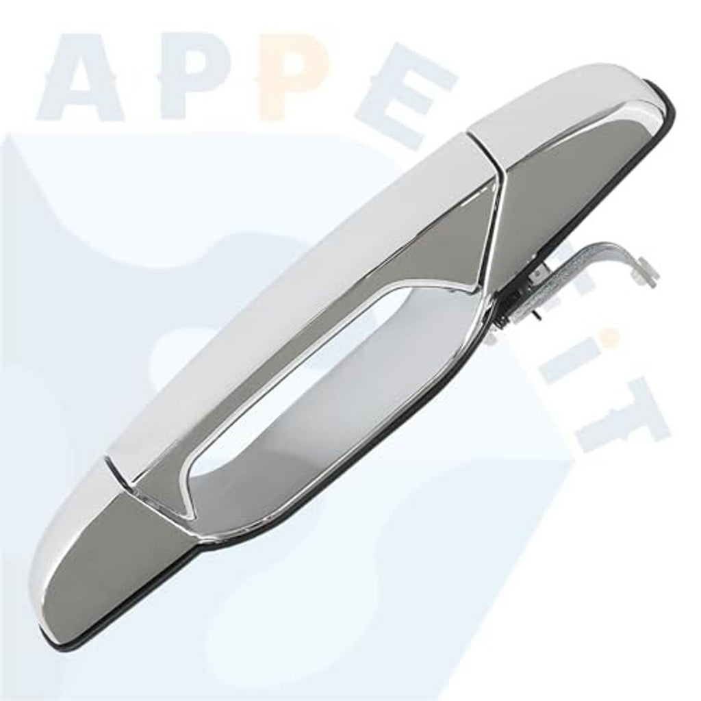 Chrome exterior door handle with elongated oval grip and visible mounting bracket.