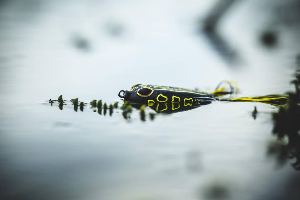 Frog popping lure on water surface, yellow skirt and dark green body