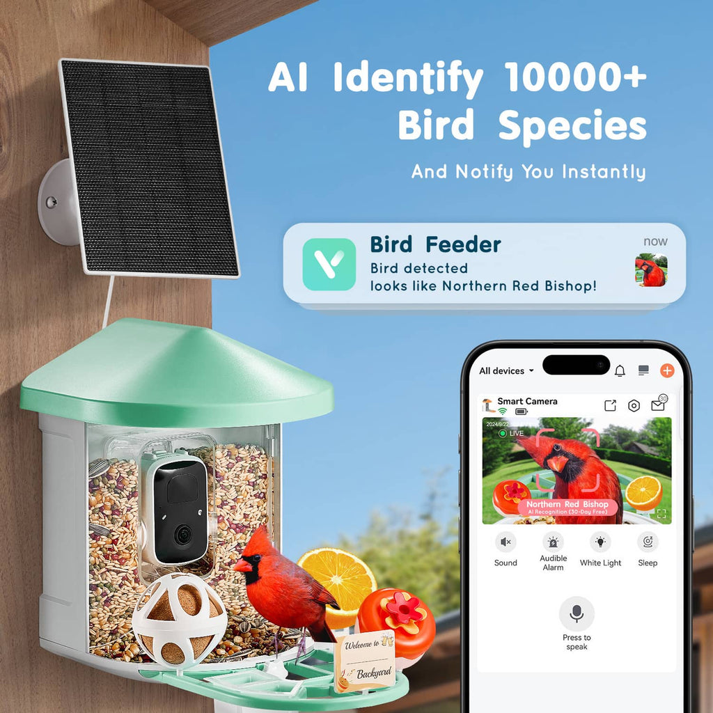 Smart bird feeder showing mint top, white body, clear seed chamber with black camera module.