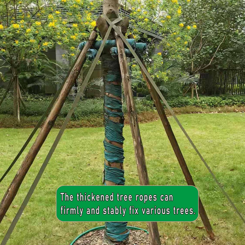 Army green tree tie securing a wooden tripod, woven strap wrapped around tree