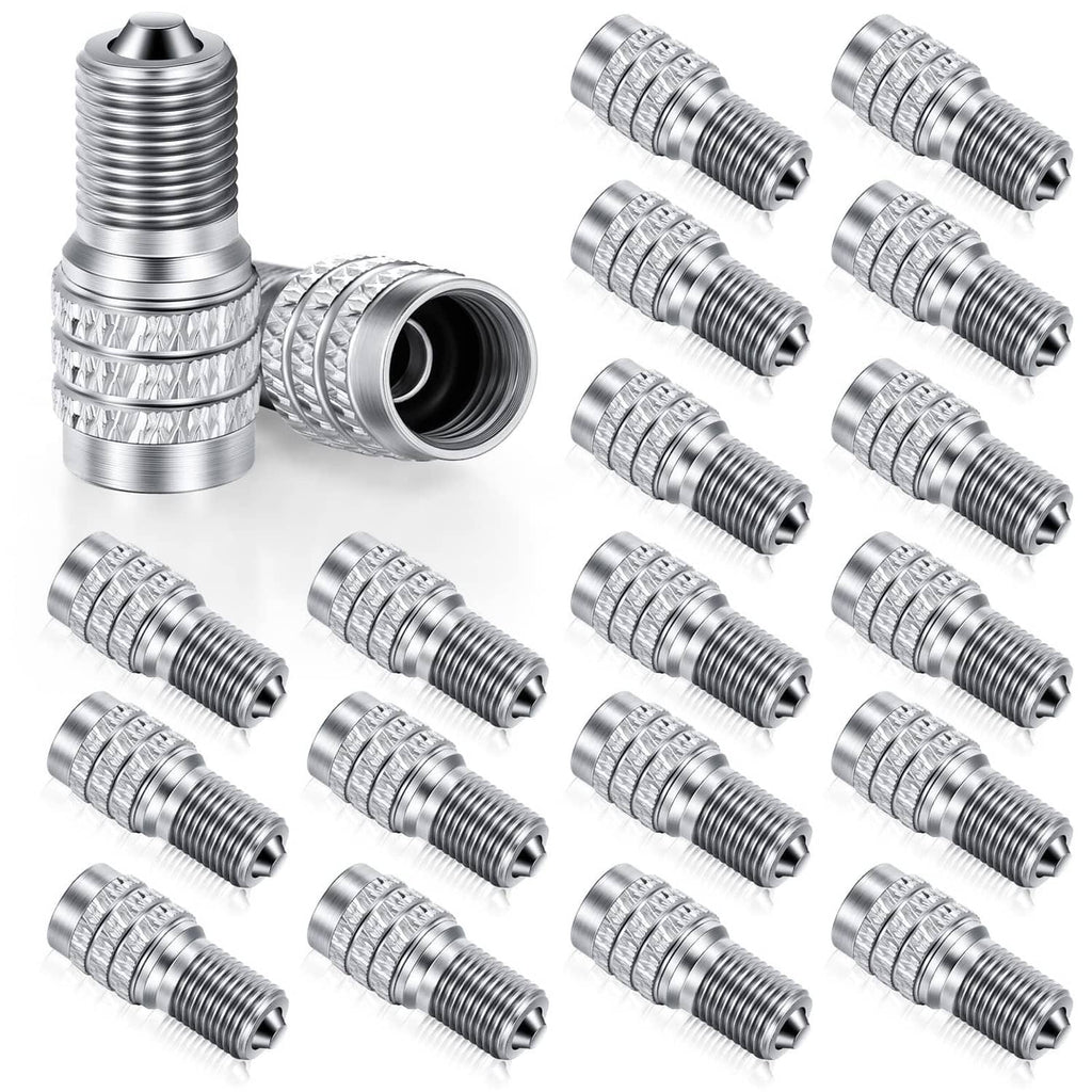 Inflate-through tire valve stem caps, silver metal, double-seal (20-pack set)