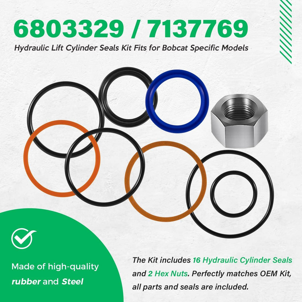 Hydraulic lift cylinder seal kit with rubber seal rings in black and orange and steel hex nuts