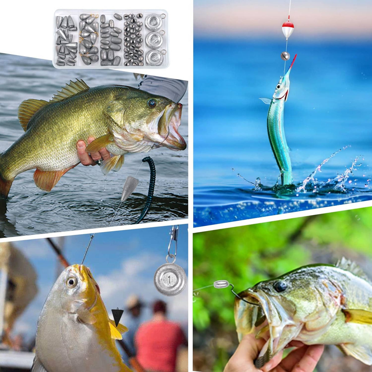 Fishing setup with grey sinkers attached to lines catching fish