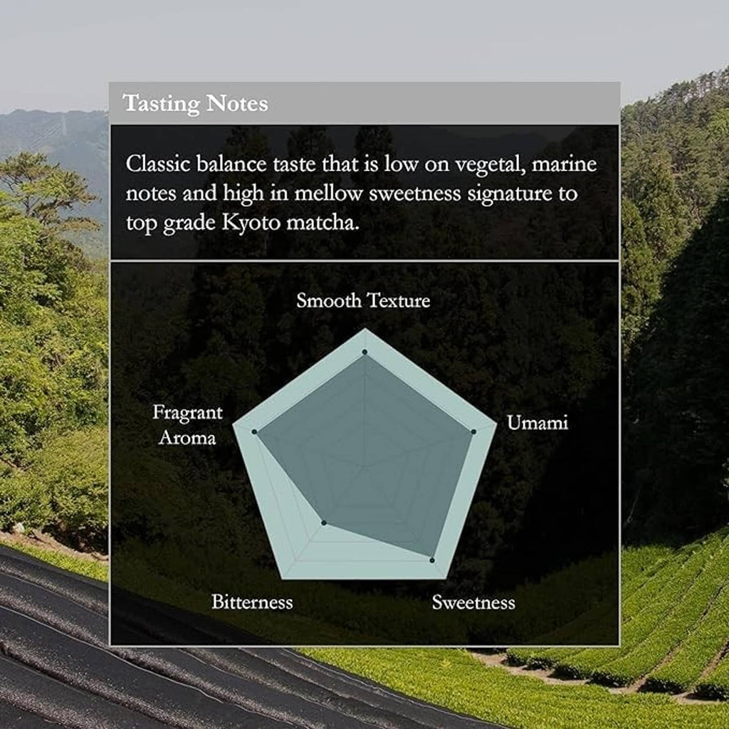 Green tea leaves and matcha field with tasting notes infographic