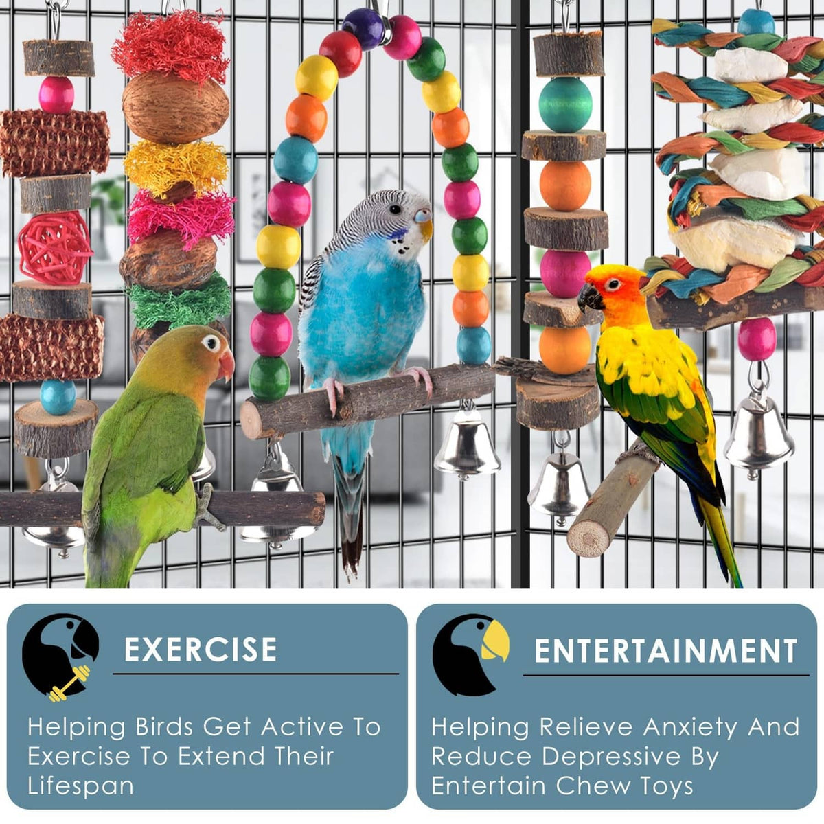 Hanging bird chew perches with bells and colorful rope, with small parrot birds