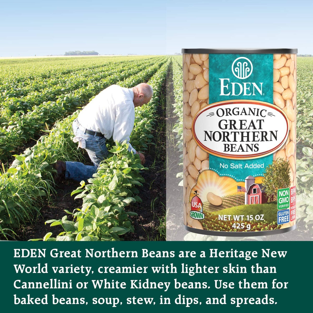 Eden organic great northern beans can with label showing no salt added