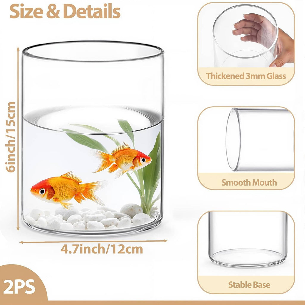 Clear glass cylinder vase showing goldfish and water with wide mouth opening