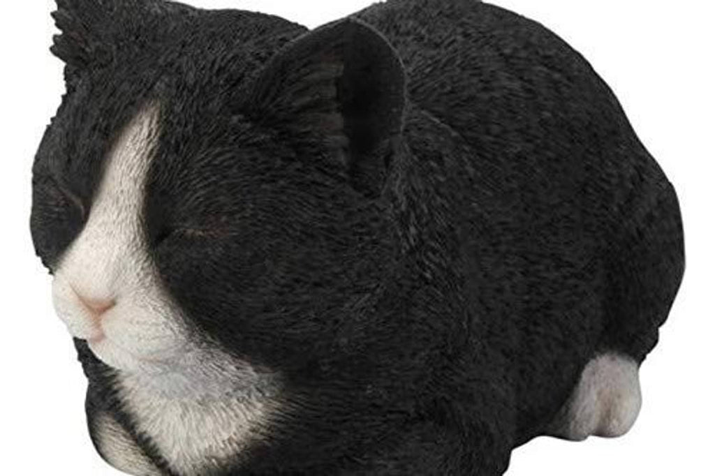 Sleeping cat statue close-up of black fur with white muzzle and paws