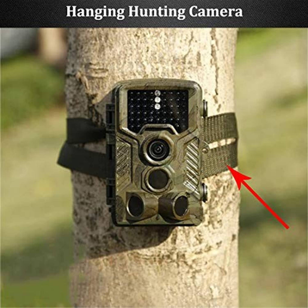 Olive strap holding a camouflaged trail camera to a tree trunk