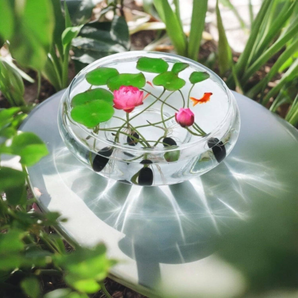 Lotus seedlings in clear dome, green lily pads with a pink flower bud