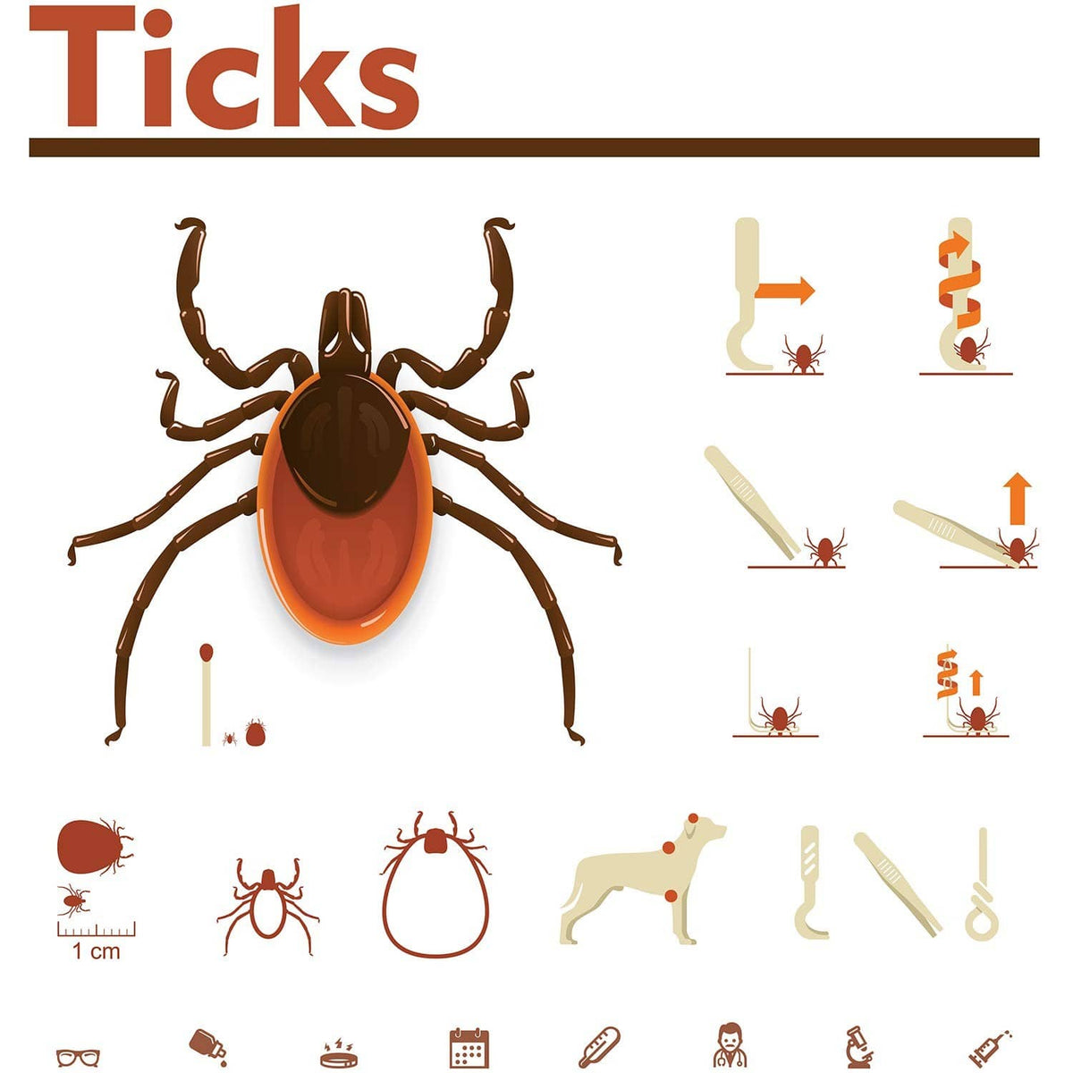 Tick removal tool kit shown with multiple tools and lime green plastic removers