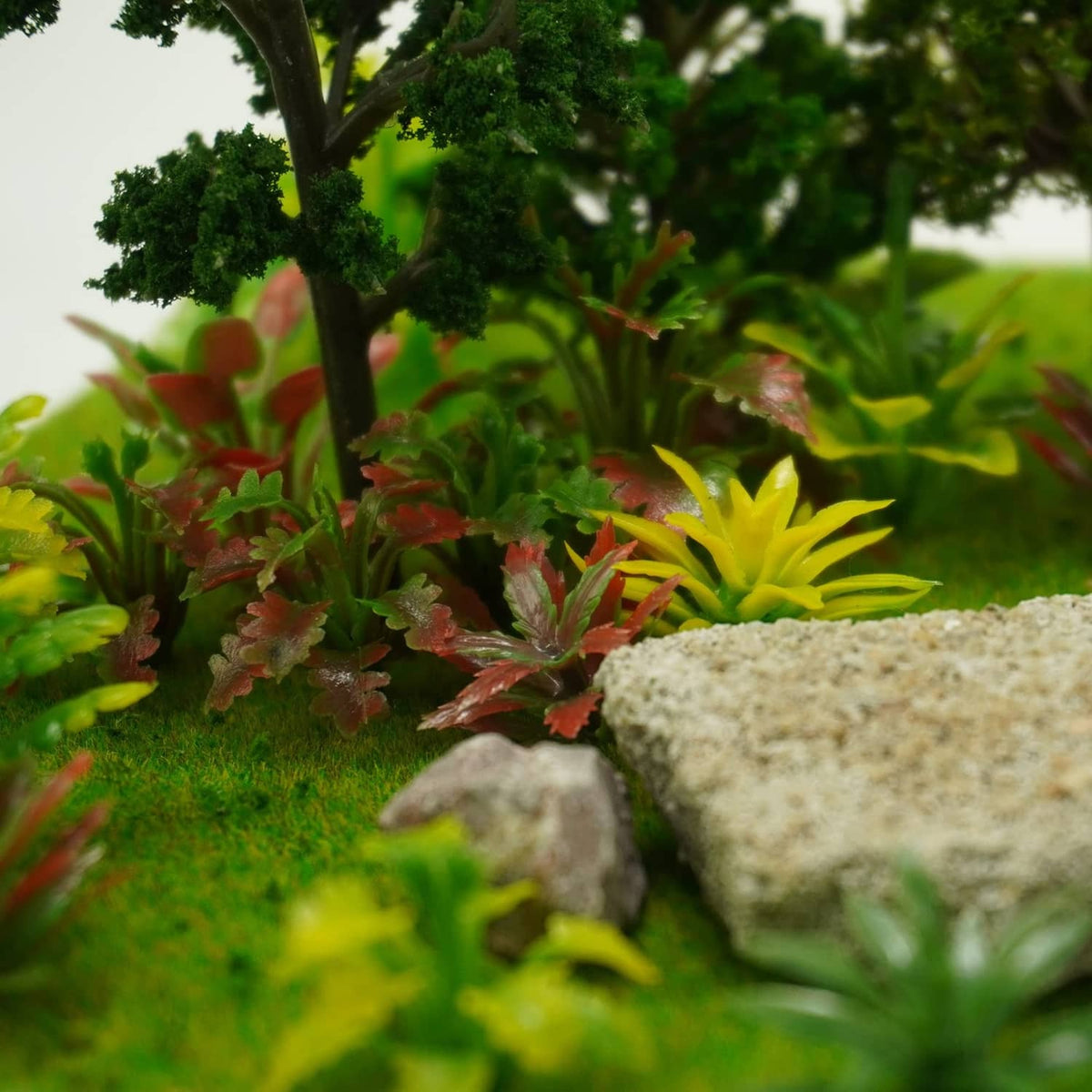 Close-up of miniature red-green plants beside small gray rocks