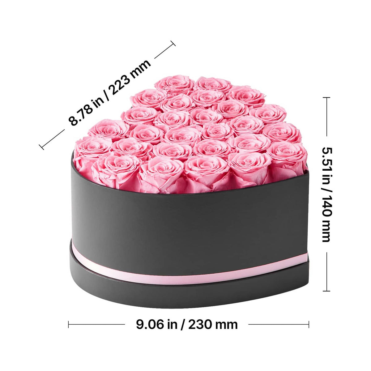 Pink preserved roses in a black round gift box with ribbon, dimensions shown