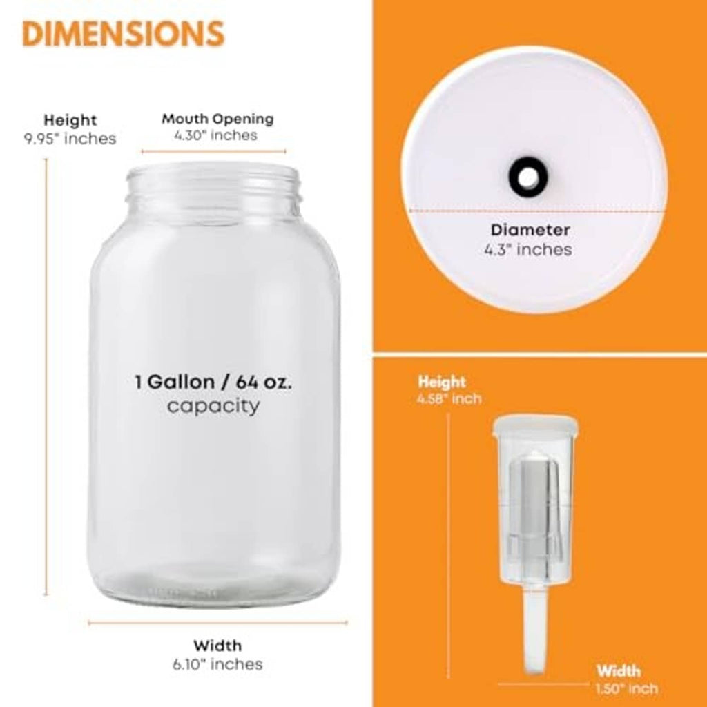 Large clear wide-mouth glass jar with airlock lid, front view of dimensions