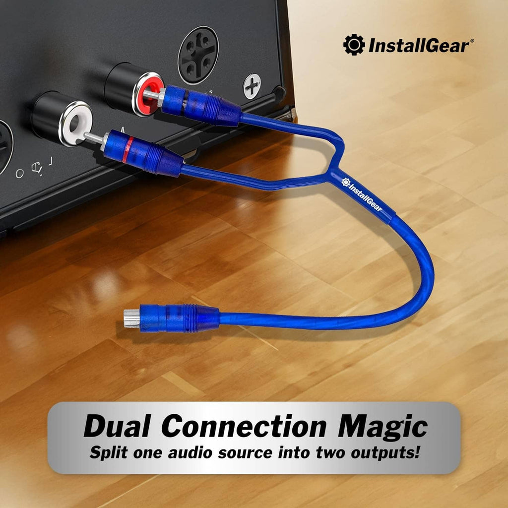 Shielded RCA Y-splitter cable, blue, with red-ring RCA plugs connected to audio ports