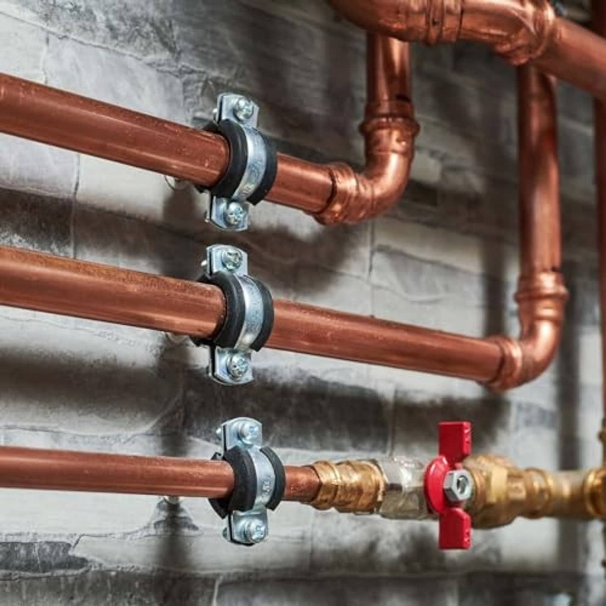 Stainless pipe bracket clamps securing copper pipes