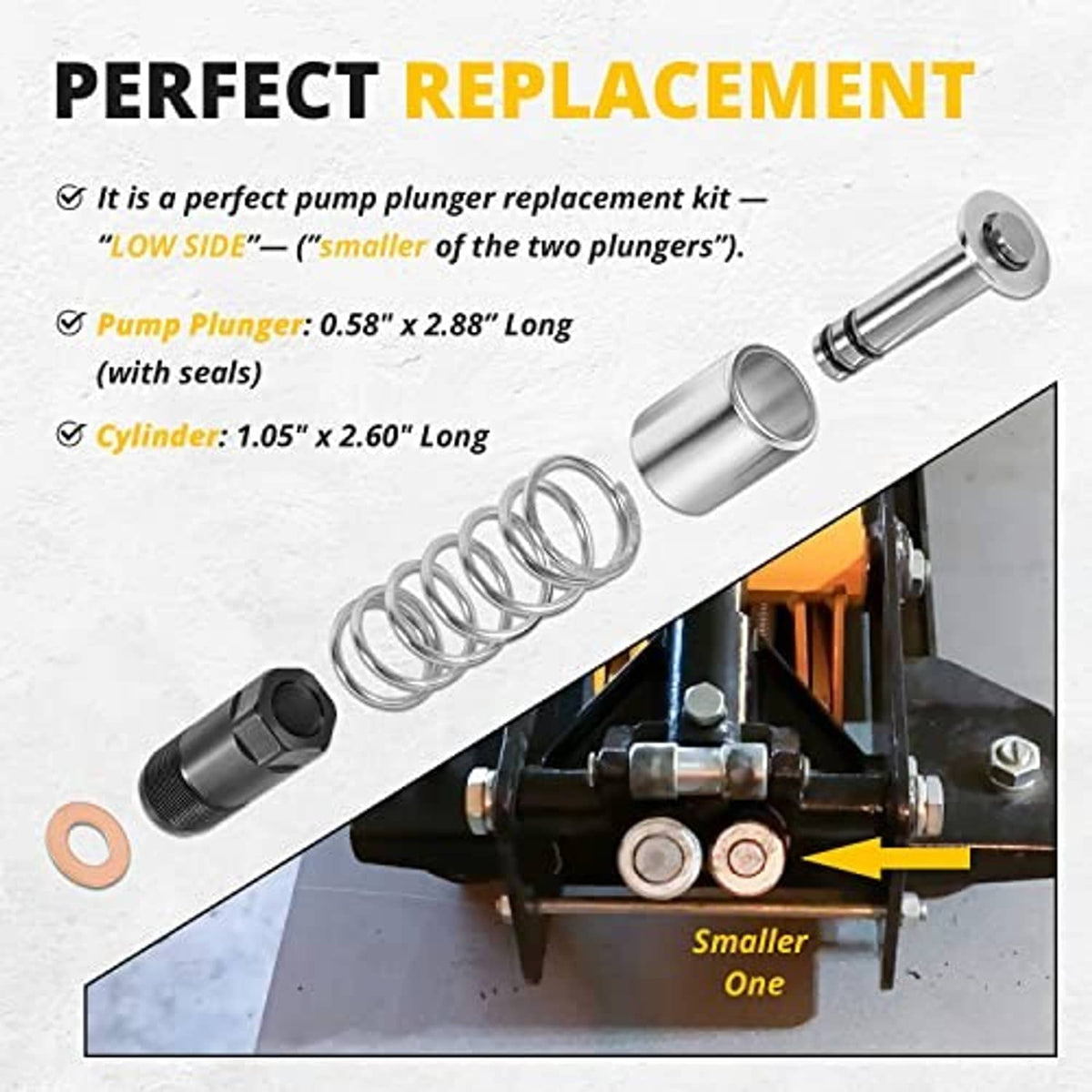 Low side pump plunger kit with stainless cylinder, spring, plunger, retainer, gasket