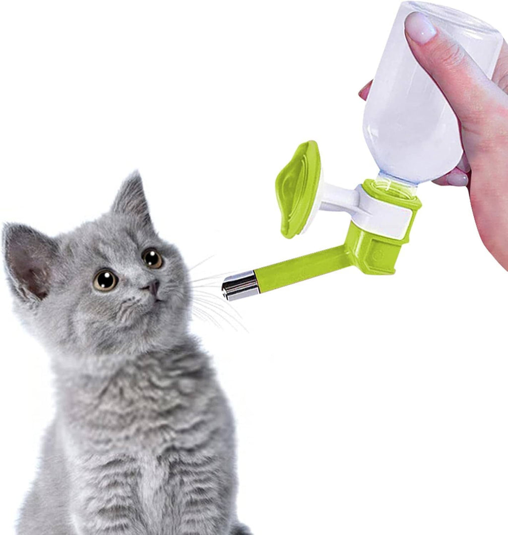 Small animal water bottle dispenser with green nozzle, held near a kitten