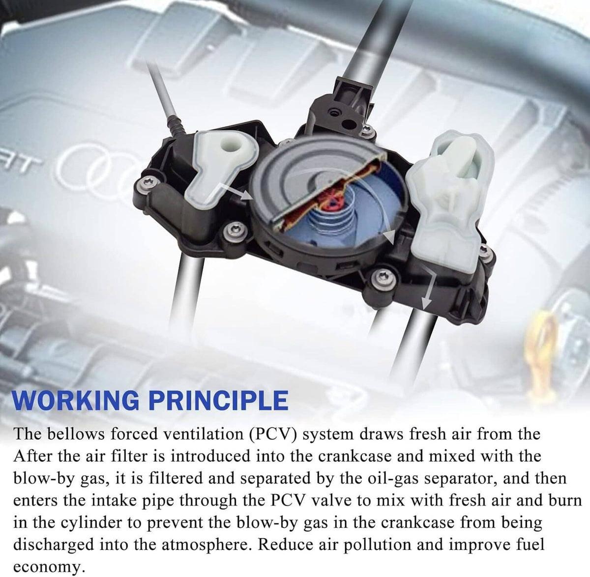 PCV valve oil separator cutaway view with black body and light gray/white valves