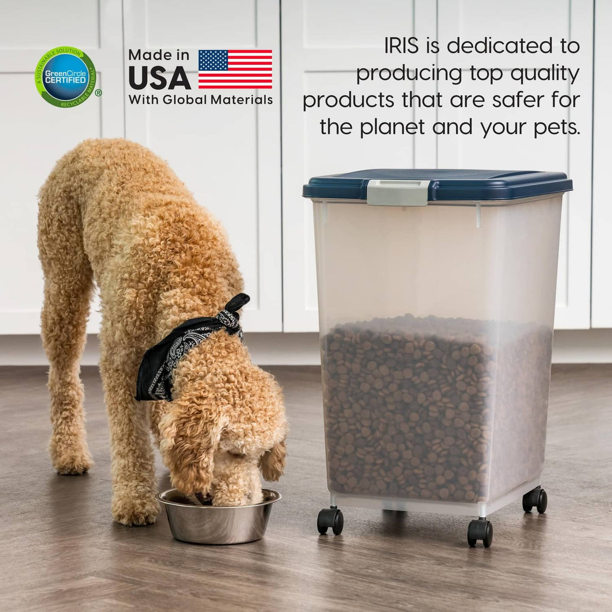 Dog food storage container with clear sides and blue lid with dog nearby