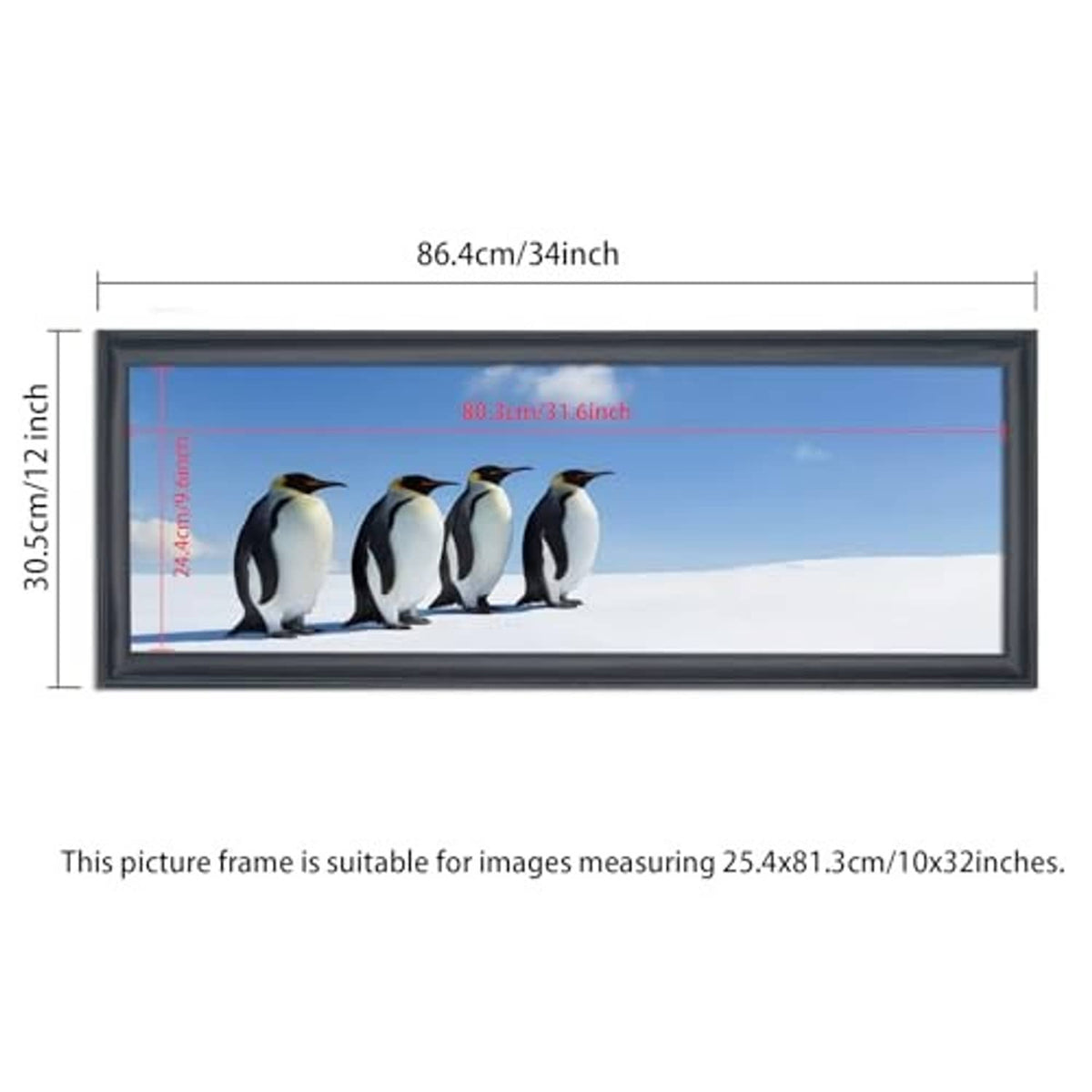 Black solid picture frame front size shown in inches: 10x32