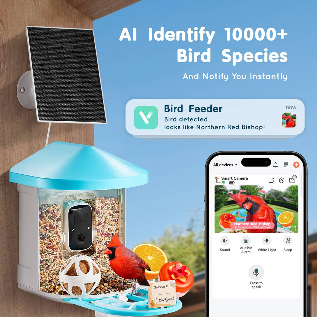Smart solar bird feeder with camera and blue roof, with solar panel mounted nearby.