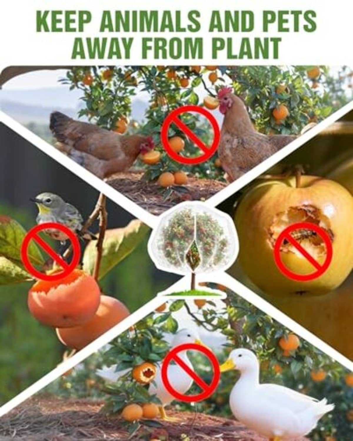 Transparent fruit tree netting cover with zipper door and drawstring, ultra-fine mesh