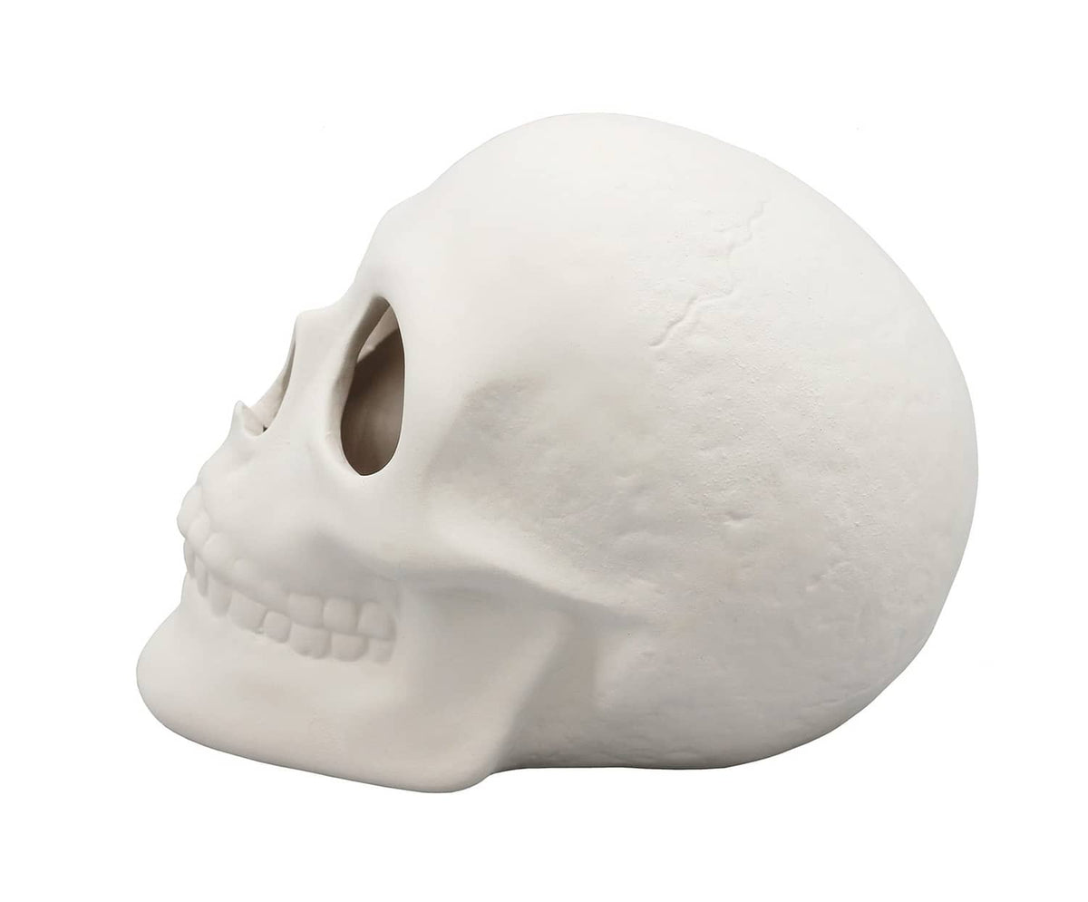 White ceramic bisque skull figurine, side profile with dark eye socket and teeth