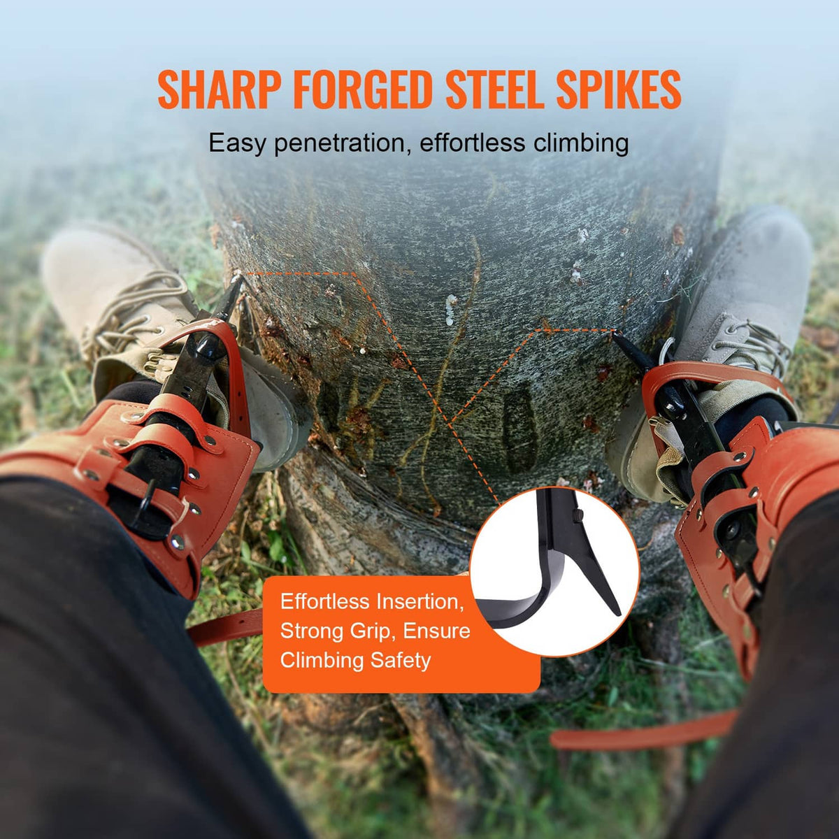 Orange-and-black gaffs with sharp steel spikes for tree climbing, front view