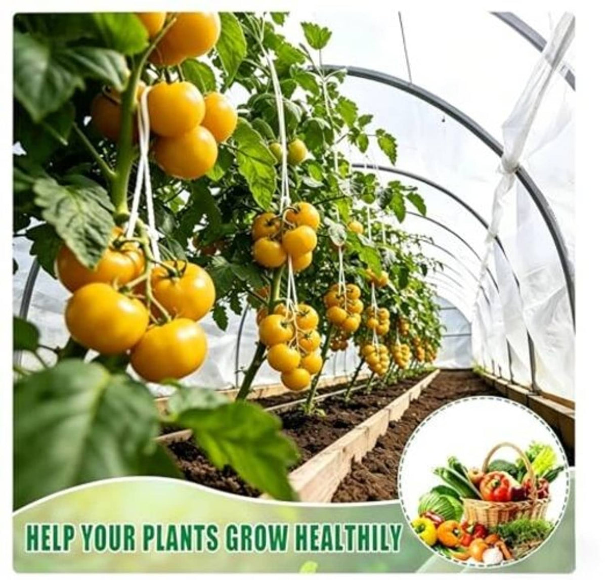 White plant shade cloth tunnel over tomato plants with yellow fruit