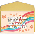Funny birthday card front; rainbow message reads “I hope your birthday is as nice as that pussy”