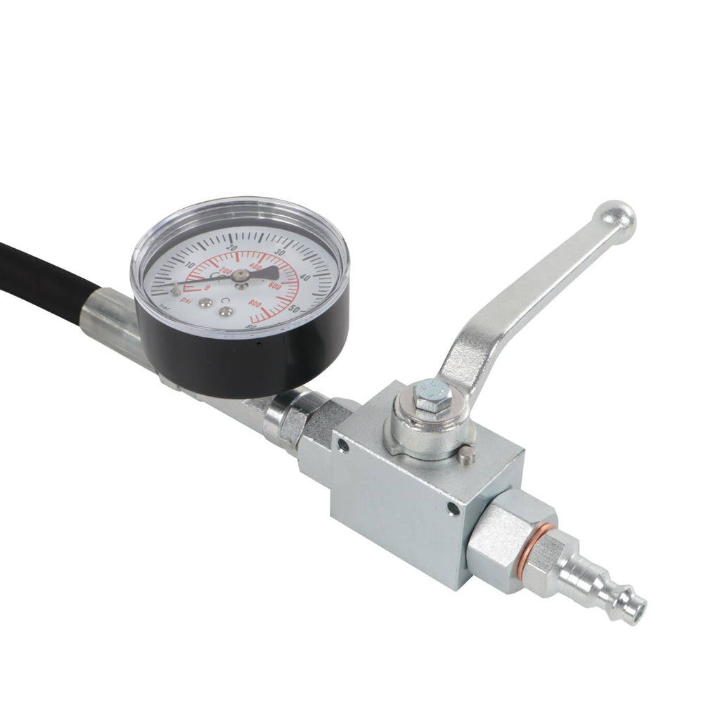 Pressure gauge and metal valve assembly with threaded IPR connector