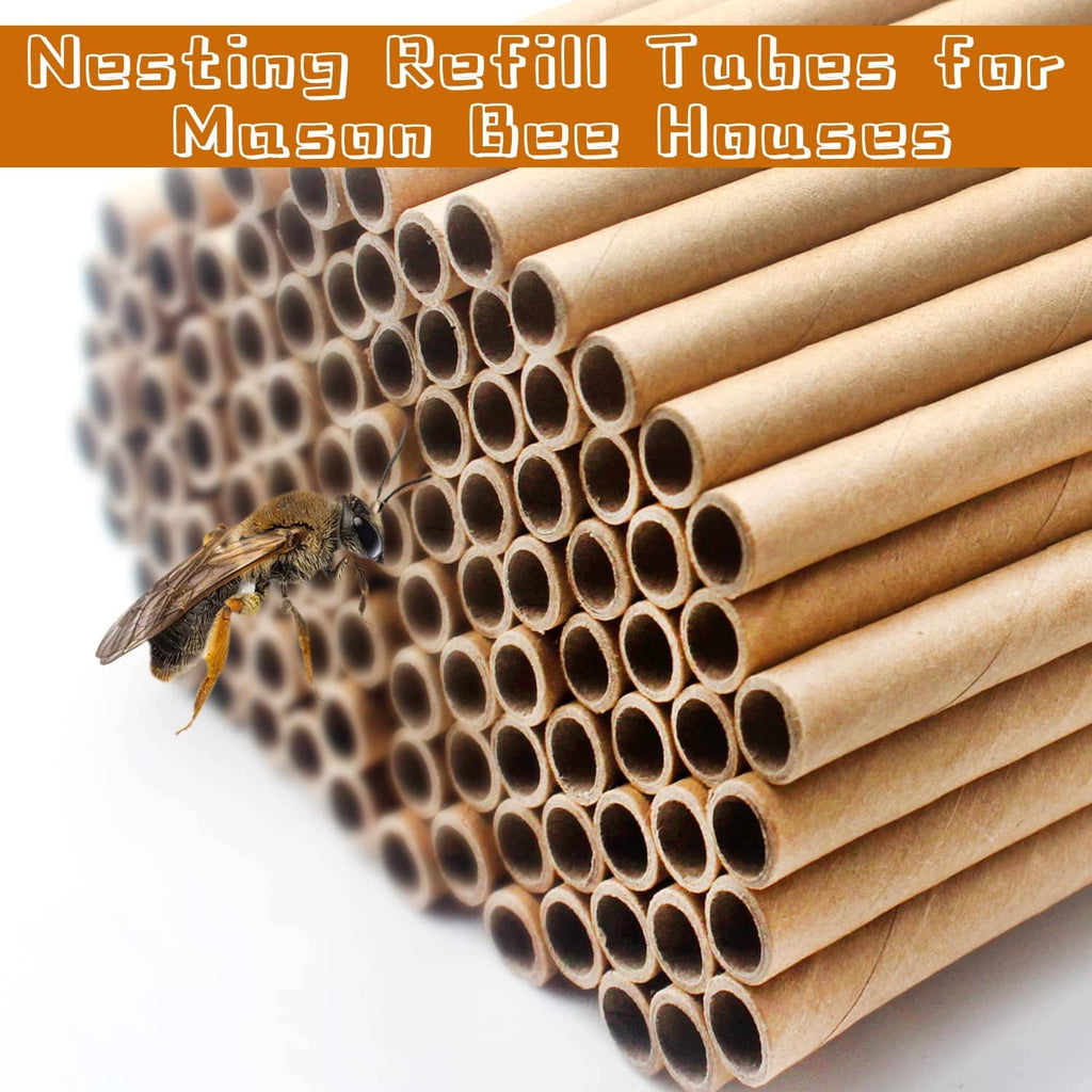 Close-up of cardboard mason bee nesting tubes with a bee near the tube openings
