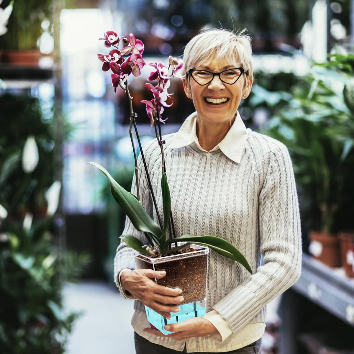 Woman holding a clear self-watering planter set with purple orchid and green leaves