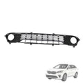 Front bumper lower grille, black plastic with horizontal slats and two round openings