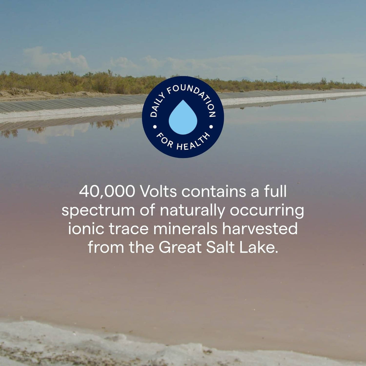 Daily Foundation for Health seal over 40,000 Volts mineral source statement